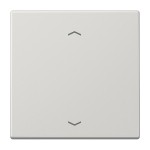 JUNG LS990PLG Wippe 1fach, mit Pfeilsymbolen, Duroplast, Serie LS, lichtgrau 