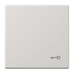 JUNG LS990TLG Wippe 1fach, Symbol Tür, Duroplast, Serie LS, lichtgrau 