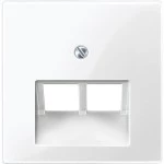 Merten Zentralplatte für UAE-Einsatz, 2fach, polarweiß glänzend, System M 