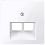 Merten Zentralplatte für UAE-Einsatz, 2fach, aktivweiß glänzend, System M 