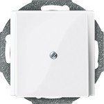 Merten Zentralplatte Leitungsauslass, polarweiß glänzend, System M 