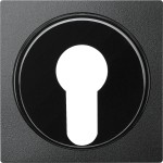 Merten Zentralplatte für Wechsel-Rastschalter-Einsatz, anthrazit, System M 