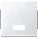 Merten Wippe mit rechteckigem Symbolfenster, polarweiß, AQUADESIGN 