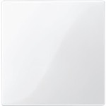 Merten Zentralplatte für Bus-Abschlussweiche und Leer-Einheit, polarweiß glänzend, System M 