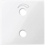 Merten 451919 Zentralplatte für Rundfunkeinheit polarweiß glänzend System M 