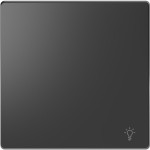 Merten Wippe mit Kennzeichnung Licht, Anthrazit, System Design 