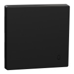 Merten Wippe mit Kennzeichnung Klingel, schwarz matt, System M 