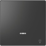 Merten Wippe mit Kontrollfenster und Aufdruck Licht, Anthrazit, System Design 