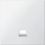 Merten Zentralplatte mit Kontrollfenster für Zugschalter, polarweiß, System M 