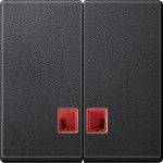 Merten Doppelwippe mit rotem Symbolfenster, anthrazit, System M 