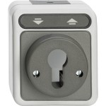 Merten Rollladen-Tast-Rastschalter für Schließzylinder, lichtgrau, AQUASTAR 