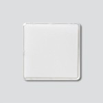 Sonderartikel: Siedle CA812-1,CA/CAU850-1,BCV/BCVU/CV/CVU850-1-... Namensschild-Oberteil Glasklar 200029864-00 