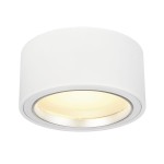 SLV 161461 FERA 25, Deckenleuchte, LED, 3000 K, rund, weiß, 1800 lm, max. 21 W, inkl. LED-Treiber 