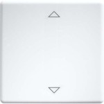 Eltako W-FT55-wg+2P Wippe lasergraviert für 55x55mm reinweiß 30000981 