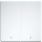 Eltako DW-FT55-rw+IO Doppelwippe lasergraviert für 55x55mm reinweiß I/O 30000988 