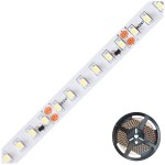 EVN ICSB2024603527 LED-Stripe 5 Meter 24V 2700K 