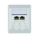 Telegärtner 100023002 Anschlussdose AMJ45 8/8K Ap Cat.6A alpinweiß 80x65mm 