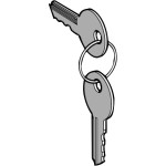 Schneider Electric ZBD8D1 Ersatzschlüssel f. Schlüsselschalter, 8D1, Verpackungseinheit: 2 Stck. 