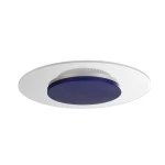 Deko-Light 620034 Deckenaufbauleuchte, Set, Zaniah 290 mm, 12 W, DIM, 3000 K, Cover Blau, 220-240 