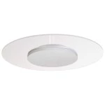 Deko-Light 620056 Deckenaufbauleuchte, Set, Zaniah 420 mm, 24 W, DIM, 3000 K, Cover Weiß, 220-240 