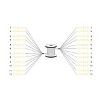 ASSMANN DK-2A33CU030BK-BBB DIGITUS Vorkonfektionierte Glasfaser Universal Breakout Kabel, Singlemode OS2, 12 Fasern, LC/UPC - LC/UPC 
