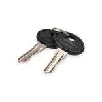Digitus DN-19-KEY-4444 Schlüssel für DVR Wandgehäuse DN-DVR-1 
