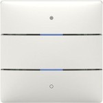 Theben 4800412 Tastsensor LUXORliving iON2 2 Tasten 