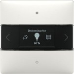 Theben 4800418 Raumcontroller LUXORliving iON8 