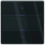 Theben 4804412 Glas-Tastsensor mit 2 Tasten, 2 mehrfarbigen Status-LEDs und integriertem Temperatursensor in schwarz 