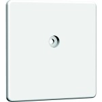 Homeway HAXHSE-GM001-C000 Zentralplatte Blind 50x50mm reinweiß matt 