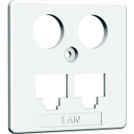 Homeway HAXHSE-G0401-C021 Zentralplatte TV+LAN/LAN 50x50mm 