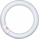 Osram L 32W/827 C Leuchtstofflampe G10q ringförmig 2100lm 34,1W 2700K 827 