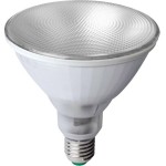 Megaman MM154 LED-Pflanzenlampe E27 12W 