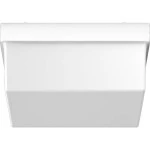 RZB 08-22146 Ersatzabdeckung opal-matt 225x225mm 