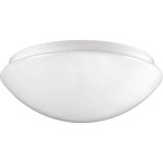RZB 221105.002 Flat Polymero IP44 PMMA Decken-/Wandleuchte 