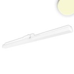 ISOLED 114646 3-PH Linearleuchte 1200mm, 40W 