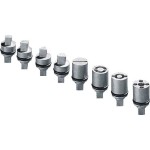 Rittal SZ 2466.000 Verschlußeinsatz L=27mm Doppelbart 