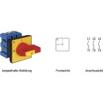Kraus & Naimer KG64B T203/04 E Hauptschalter Not-Aus 63A 22kW 3-polig 