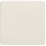 Elso 213600 Wippe pw für Taster/Schalter 