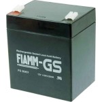 Hückmann 112932 Fiamm Blei-Akku FG20451 Pb 12V/4,5Ah 