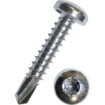 Dresselhaus 6054/001/51 4,2x19 Bohrschrauben mit Linsenk. Innensechsrund zn 100 Stück 