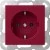 morepic-1