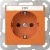morepic-1