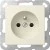 morepic-1