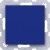 morepic-1