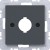 morepic-1