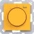morepic-1