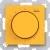 morepic-1