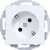 morepic-1