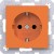morepic-1